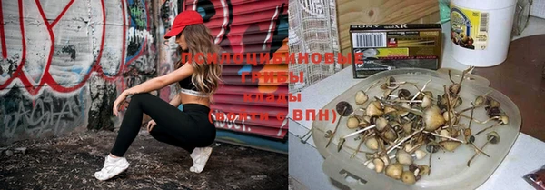 экстази Богородск